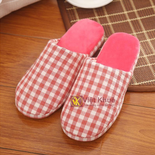 dep di trong nha caro